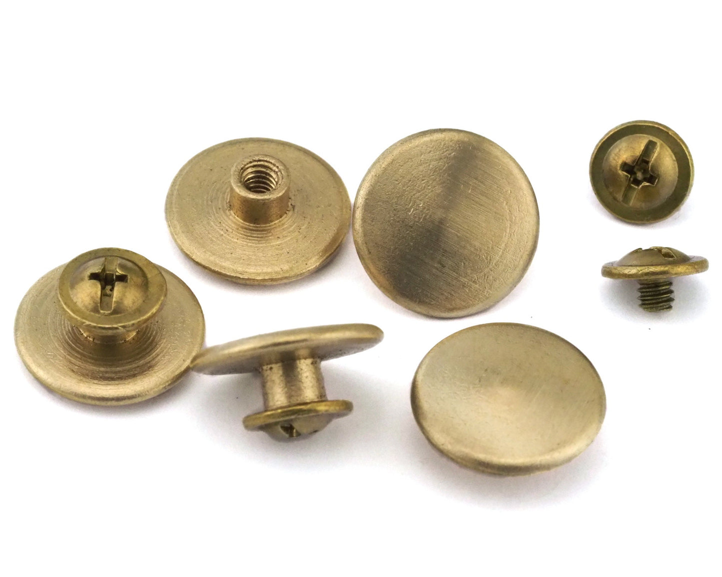 Screw Rivets Raw brass, Silver Tone, Black Painted Brass studs, , 15x6.5mm 1/8" bolt CSC4 1856