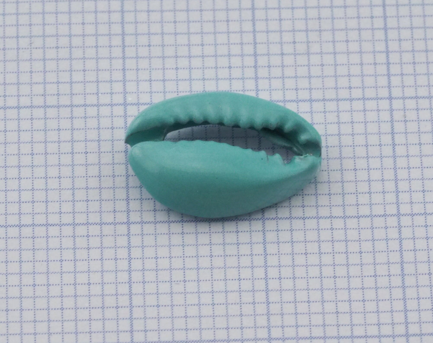 Cowrie shell, Sea shell Turquoise Painted alloy pendant spacer (15x10mm) 2406