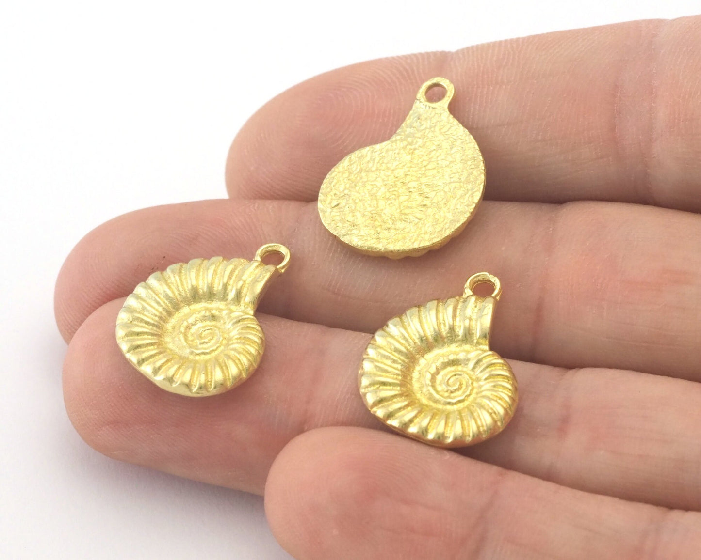 Ammonite animal fossil shell charms 21x15mm Raw Brass OZ4331