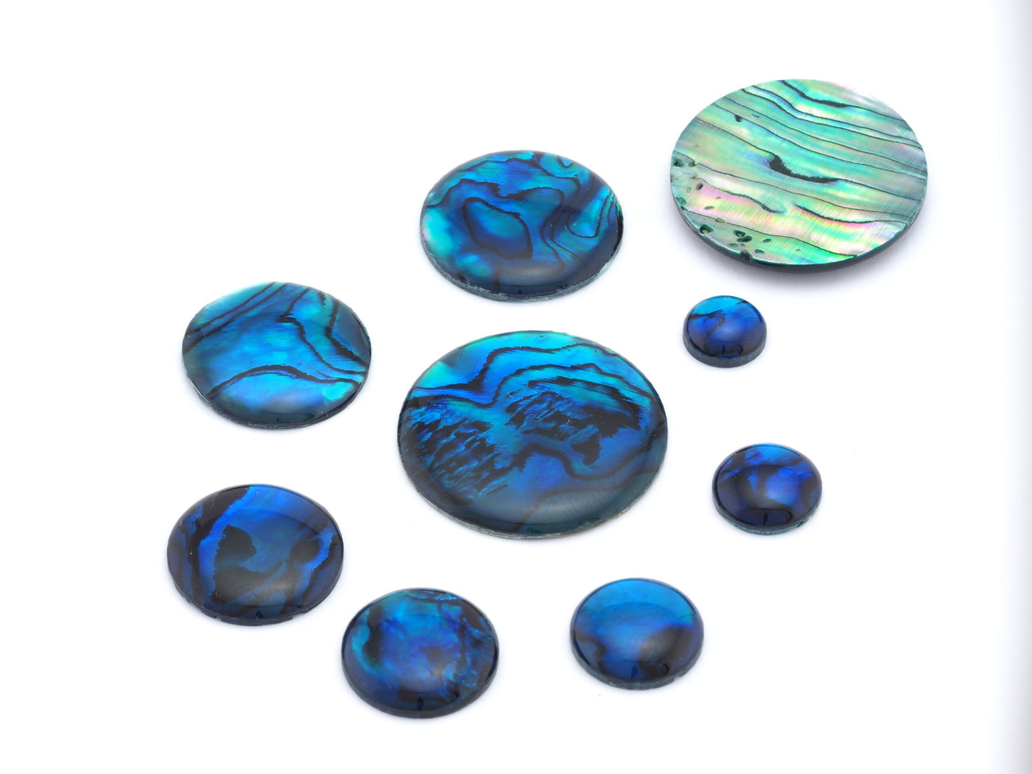 Paua Abolone Shell Round Gemstone Flat Back Cabochons 8 10 12 14 16 18 20 25 no hole