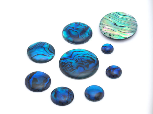 Paua Abolone Shell Round Gemstone Flat Back Cabochons 8 10 12 14 16 18 20 25 no hole