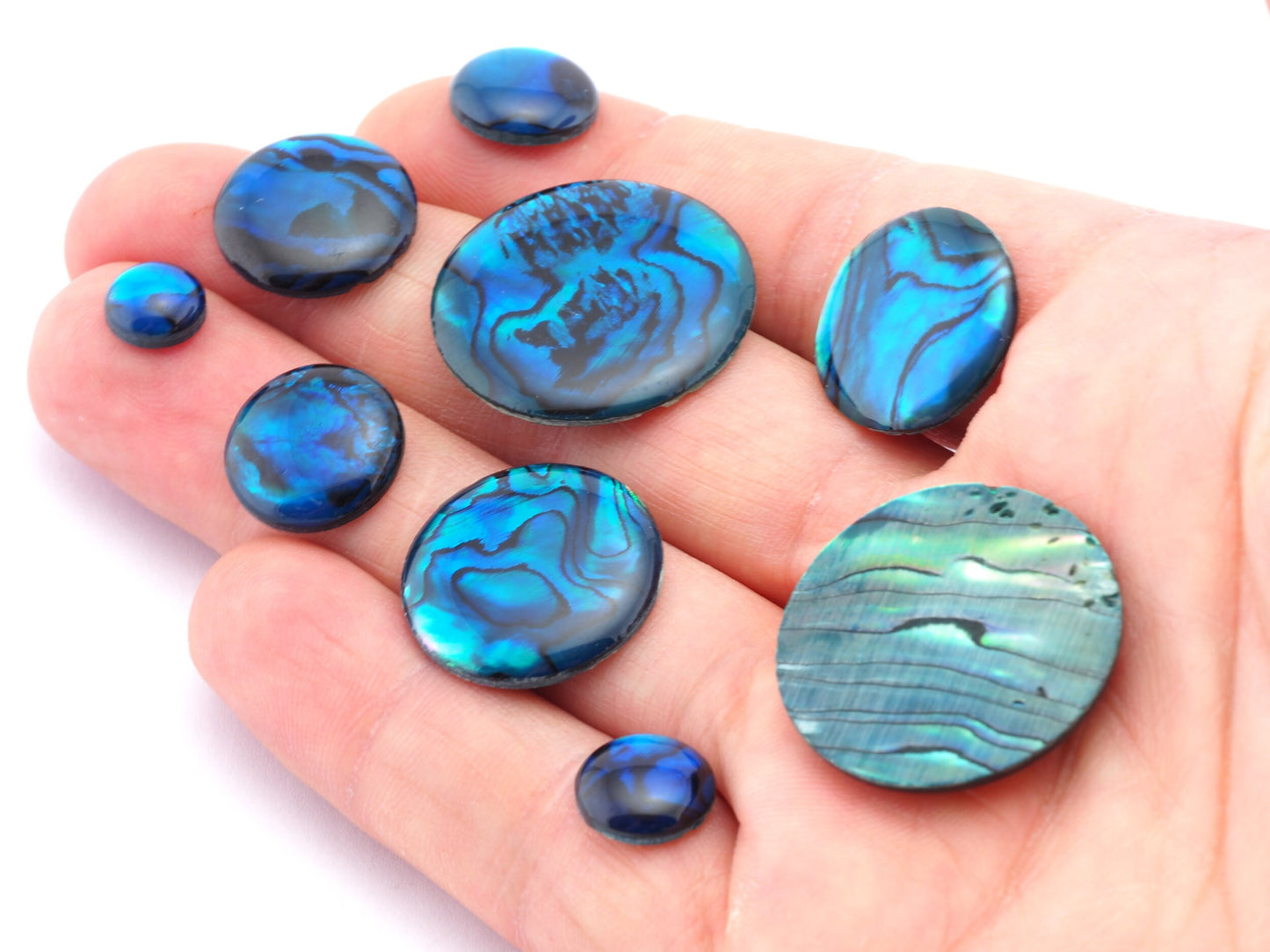 Paua Abolone Shell Round Gemstone Flat Back Cabochons 8 10 12 14 16 18 20 25 no hole