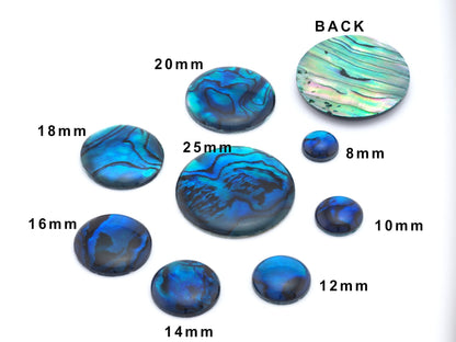 Paua Abolone Shell Round Gemstone Flat Back Cabochons 8 10 12 14 16 18 20 25 no hole