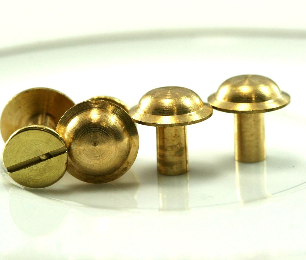 10 pcs 11x7mm raw brass studs, screw rivets, chicago screw / concho screw, unusual steampunk finding, 1/8" bolt CSC4 2410