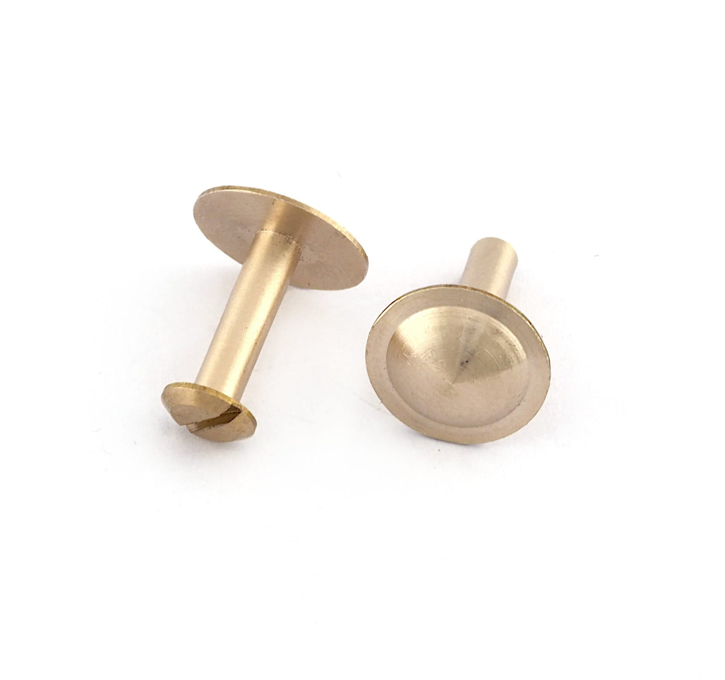 Raw brass studs, 19x15mm screw rivets, chicago screw / concho screw, unusual steampunk finding, 1/8" bolt CSC15 5507