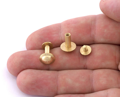 Screw rivets, 14x11mm raw brass studs, chicago screw / concho screw, 1/8" bolt CSC10 5535