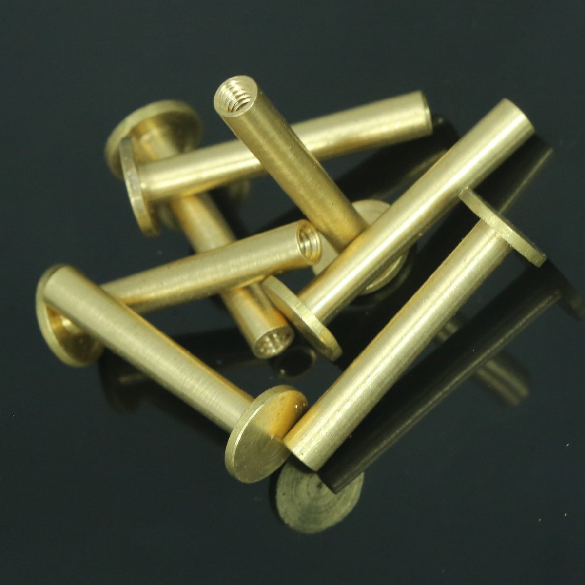 25mm Screw rivets, chicago screw / concho screw, 26x9 mm raw brass studs, unusual steampunk finding, 1/8" bolt CSC25 048