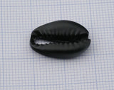 Cowrie shell, Sea shell Black Painted alloy pendant spacer (20x13mm) 2409