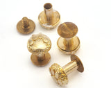 Paw Animal screw rivets, chicago screw / concho screw, raw brass studs, 1/8" bolt CSC5 CSC8 R73 R143