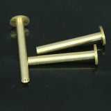 Screw rivets, chicago screw / concho screw, 31x9mm raw brass studs, 1/8" bolt CSC30 049