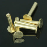 Screw rivets, chicago screw 19x9mm raw brass studs, / concho screw, unusual steampunk finding, 1/8" bolt CSC18 623
