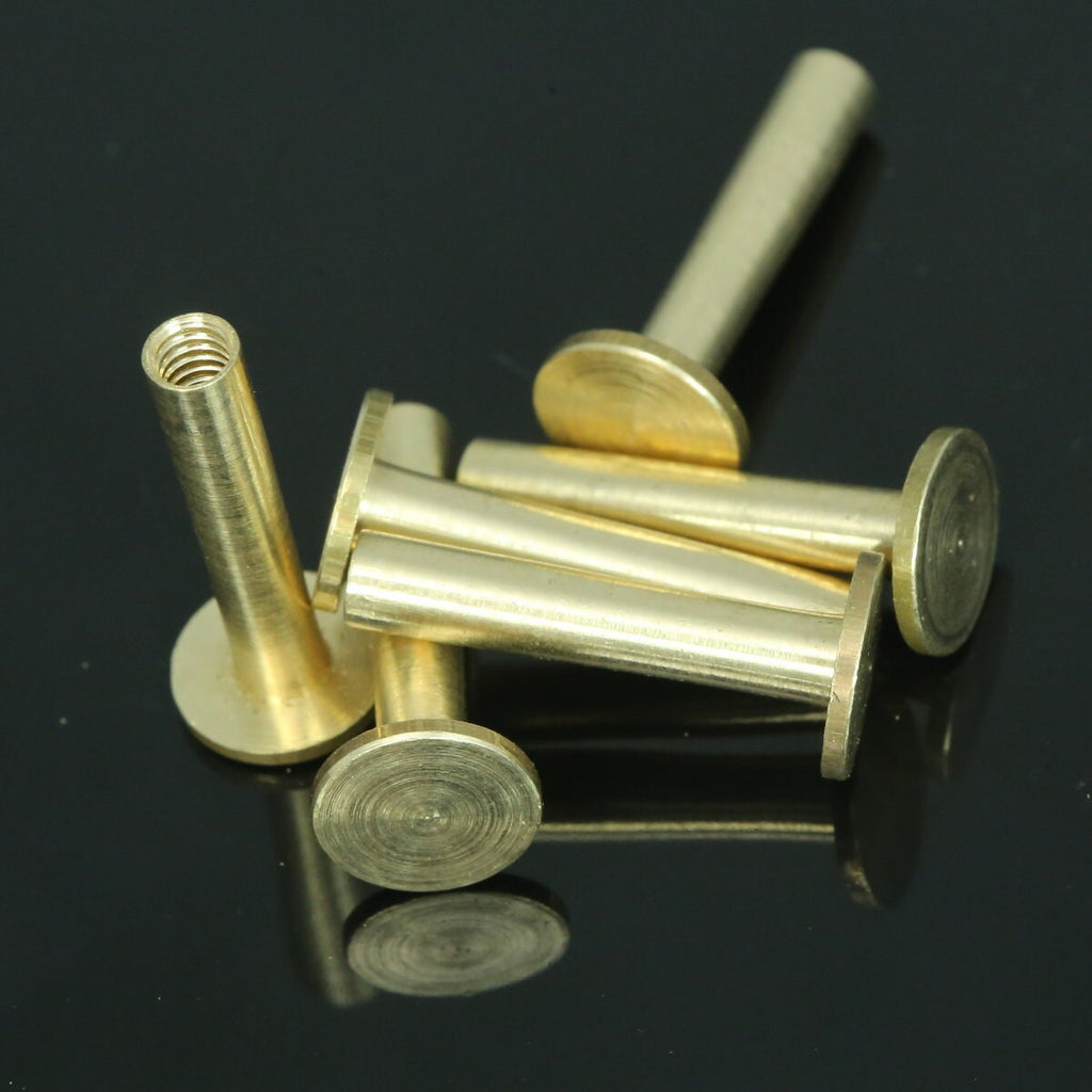 Screw rivets, chicago screw 21x9mm raw brass studs, / concho screw, unusual steampunk finding, 1/8" bolt CSC20 047